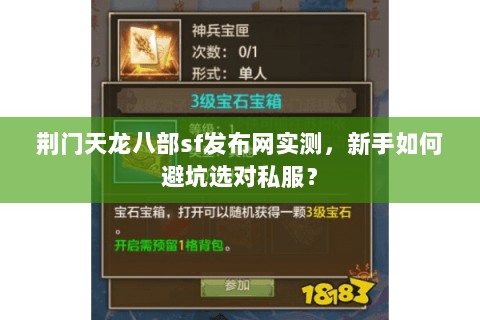 荆门天龙八部sf发布网实测，新手如何避坑选对私服？