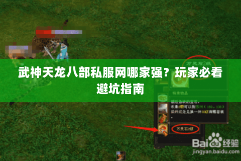 武神天龙八部私服网哪家强？玩家必看避坑指南