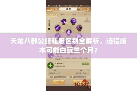 天龙八部公服私服区别全解析，选错版本可能白玩三个月？