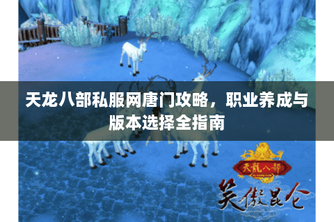 天龙八部私服网唐门攻略，职业养成与版本选择全指南