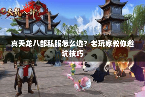 真天龙八部私服怎么选？老玩家教你避坑技巧
