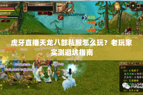 虎牙直播天龙八部私服怎么玩？老玩家实测避坑指南