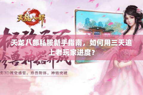 天龙八部私服新手指南，如何用三天追上老玩家进度？