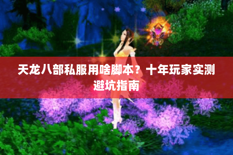 天龙八部私服用啥脚本？十年玩家实测避坑指南