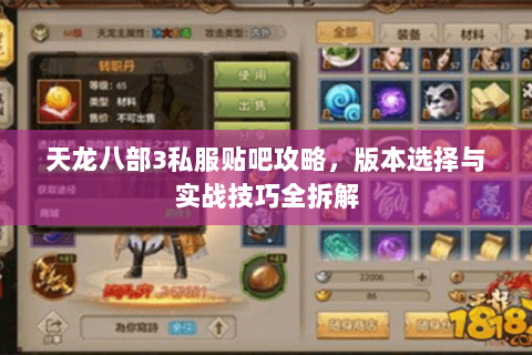 天龙八部3私服贴吧攻略，版本选择与实战技巧全拆解