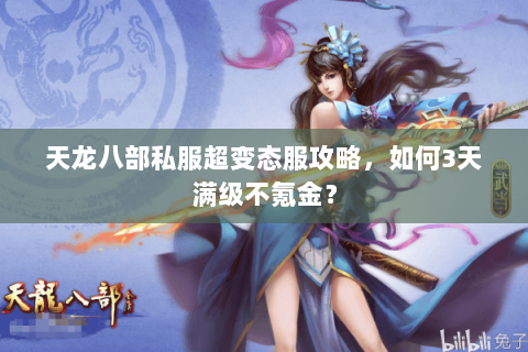 天龙八部私服超变态服攻略，如何3天满级不氪金？
