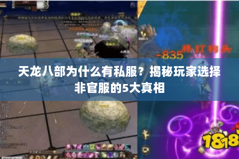 天龙八部为什么有私服？揭秘玩家选择非官服的5大真相