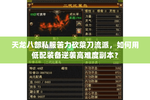 天龙八部私服苦力砍菜刀流派，如何用低配装备逆袭高难度副本？