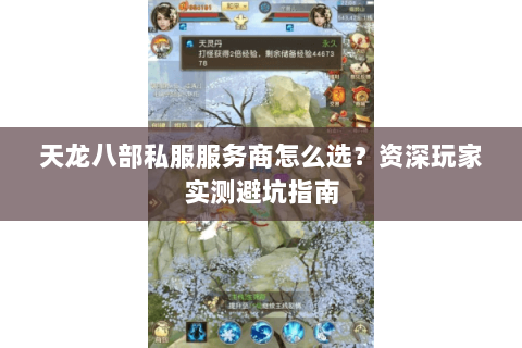 天龙八部私服服务商怎么选？资深玩家实测避坑指南