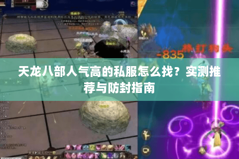 天龙八部人气高的私服怎么找？实测推荐与防封指南