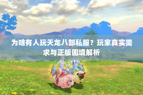 为啥有人玩天龙八部私服？玩家真实需求与正版困境解析