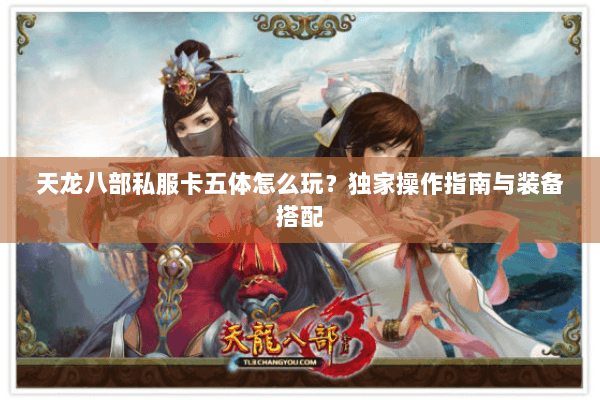 天龙八部私服卡五体怎么玩？独家操作指南与装备搭配
