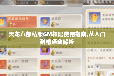 天龙八部私服GM权限使用指南,从入门到精通全解析