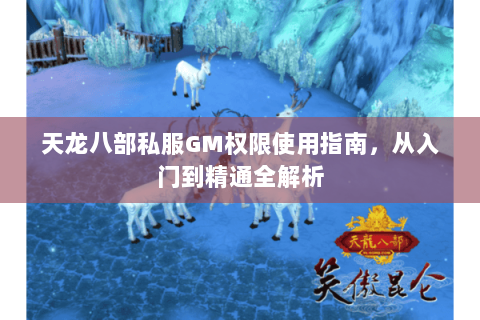 天龙八部私服GM权限使用指南，从入门到精通全解析