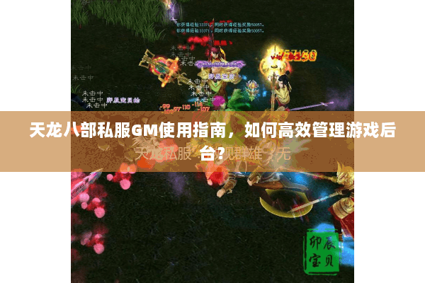 天龙八部私服GM使用指南，如何高效管理游戏后台？