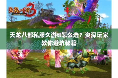 天龙八部私服久游tl怎么选？资深玩家教你避坑秘籍