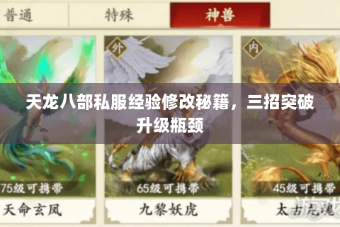 天龙八部私服经验修改秘籍，三招突破升级瓶颈