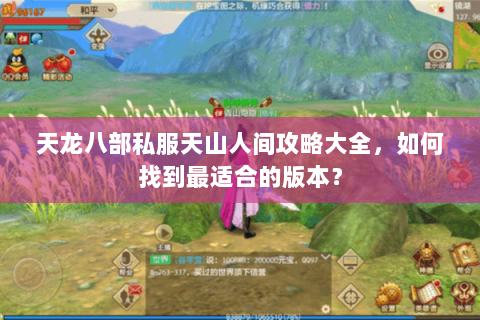 天龙八部私服天山人间攻略大全，如何找到最适合的版本？