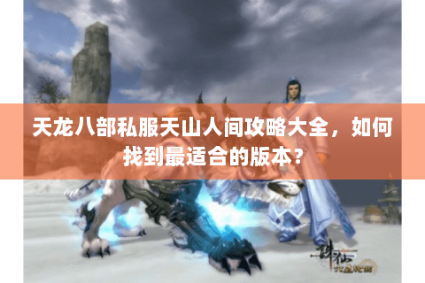 天龙八部私服天山人间攻略大全，如何找到最适合的版本？