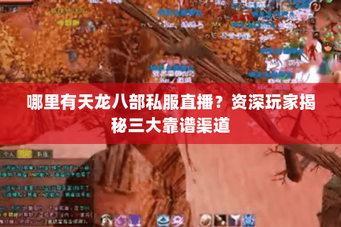 哪里有天龙八部私服直播？资深玩家揭秘三大靠谱渠道