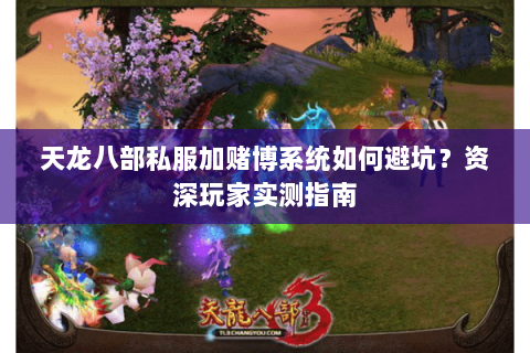 天龙八部私服加赌博系统如何避坑？资深玩家实测指南