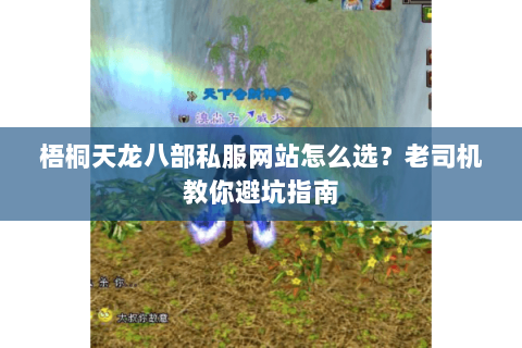梧桐天龙八部私服网站怎么选？老司机教你避坑指南
