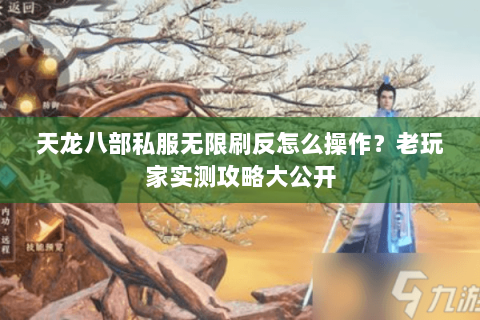 天龙八部私服无限刷反怎么操作？老玩家实测攻略大公开