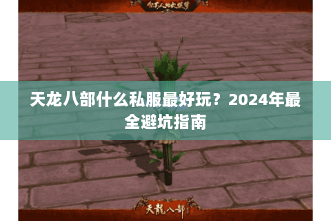 天龙八部什么私服最好玩？2024年最全避坑指南