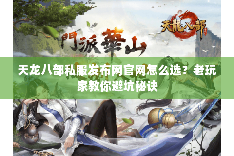 天龙八部私服发布网官网怎么选？老玩家教你避坑秘诀