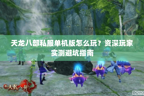 天龙八部私服单机版怎么玩？资深玩家实测避坑指南