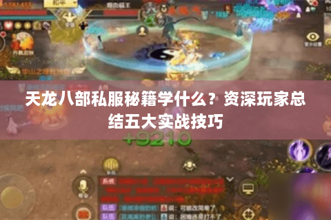 天龙八部私服秘籍学什么？资深玩家总结五大实战技巧