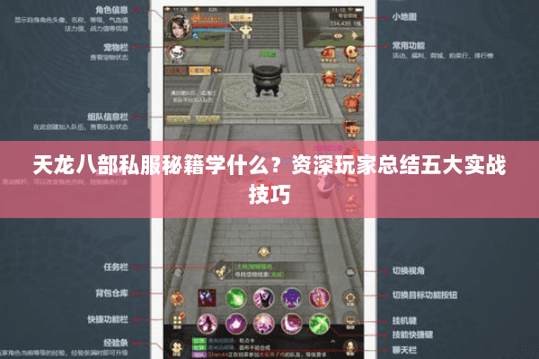 天龙八部私服秘籍学什么？资深玩家总结五大实战技巧