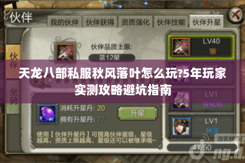 天龙八部私服秋风落叶怎么玩?5年玩家实测攻略避坑指南