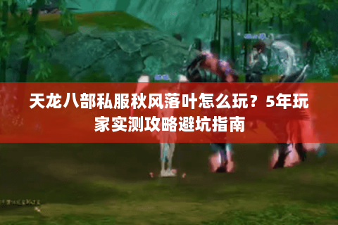 天龙八部私服秋风落叶怎么玩？5年玩家实测攻略避坑指南