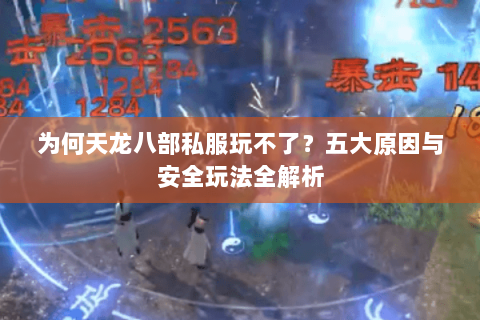 为何天龙八部私服玩不了？五大原因与安全玩法全解析