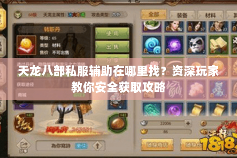 天龙八部私服辅助在哪里找？资深玩家教你安全获取攻略