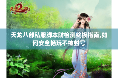 天龙八部私服脚本防检测终极指南,如何安全畅玩不被封号
