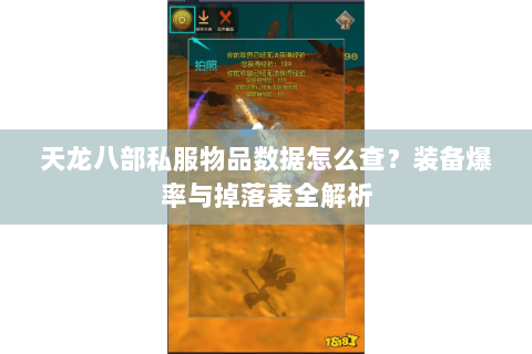 天龙八部私服物品数据怎么查？装备爆率与掉落表全解析