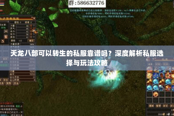 天龙八部可以转生的私服靠谱吗？深度解析私服选择与玩法攻略