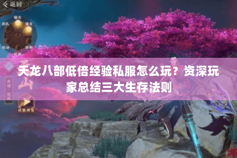 天龙八部低倍经验私服怎么玩？资深玩家总结三大生存法则