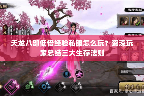 天龙八部低倍经验私服怎么玩？资深玩家总结三大生存法则
