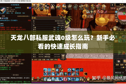天龙八部私服武魂0级怎么玩？新手必看的快速成长指南