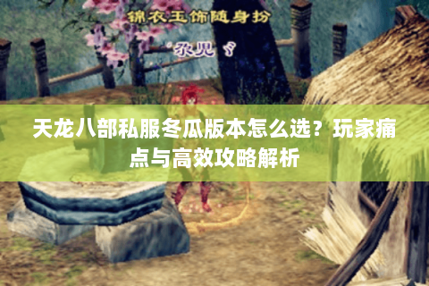 天龙八部私服冬瓜版本怎么选？玩家痛点与高效攻略解析