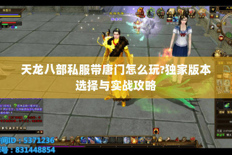 天龙八部私服带唐门怎么玩?独家版本选择与实战攻略