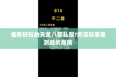 谁有好玩的天龙八部私服?资深玩家亲测避坑指南