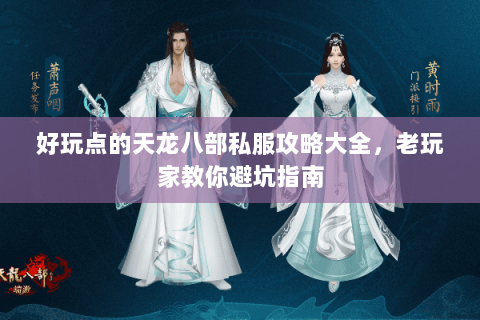 好玩点的天龙八部私服攻略大全，老玩家教你避坑指南