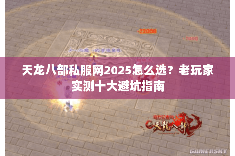天龙八部私服网2025怎么选？老玩家实测十大避坑指南
