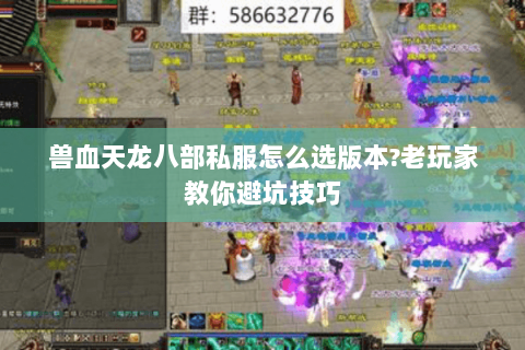 兽血天龙八部私服怎么选版本?老玩家教你避坑技巧