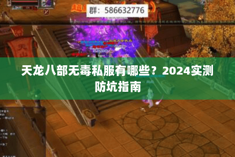 天龙八部无毒私服有哪些？2024实测防坑指南