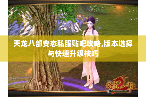 天龙八部变态私服贴吧攻略,版本选择与快速升级技巧